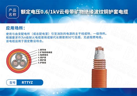 YGC-3*50+1*25硅橡胶电缆_电缆_安徽中旺特电缆有限公司