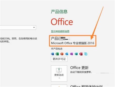 微软发布Microsoft Office LTSC ProPlus 2021商业预览版供用户尝鲜体验 – 蓝点网