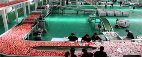 陕西洛川苹果直销 最新价格 西安专卖 洛川厚塬苹果有限公司