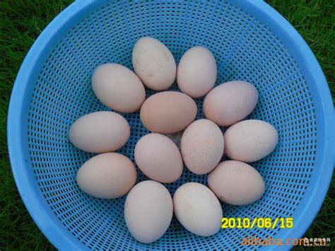 蛋先生说鸡蛋期货：每天发布第二天鸡蛋期货行情分析