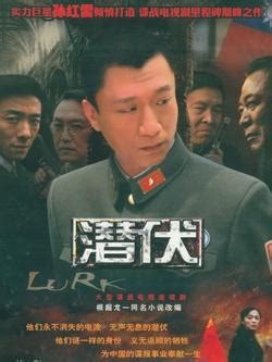 潜伏（2008年孙红雷、姚晨主演的经典谍战电视剧） - 搜狗百科