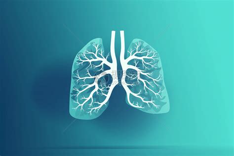 肺部结构图图片