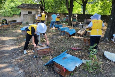 动蜂学子“三下乡”——实地考察蜂场，助力甜蜜事业