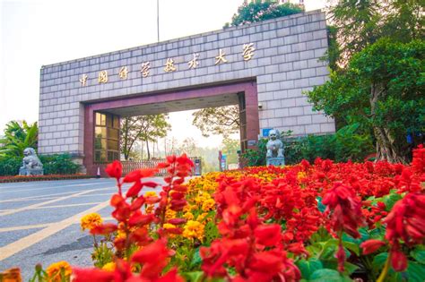 合肥中国科学技术大学国际金融研究院 | UAD浙大设计 - 景观网