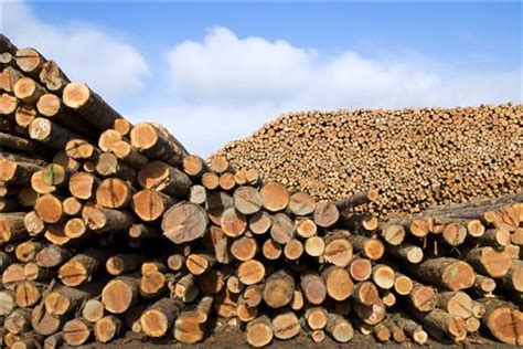 越南专家：木材行业需要从根本上改变出口产品和市场_行业资讯_木头云