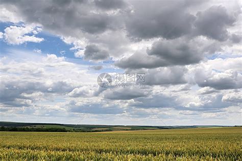 有麦田和风雨如磐的天空的乡下高清图片下载-正版图片506127619-摄图网