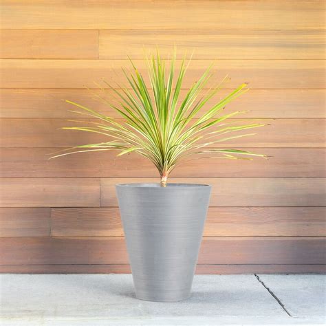 Veradek Pure Series Pot Planter & Reviews | Wayfair