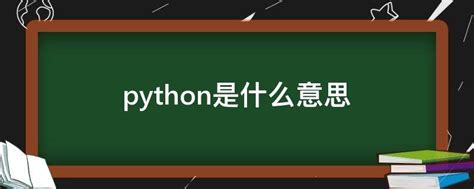 python如何编译成exe文件-Python学习网