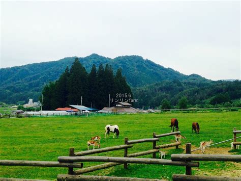 日本乡村风景高清图片下载-正版图片307664196-摄图网