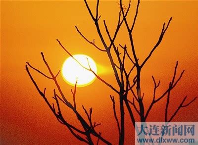 太阳的季节剧情介绍（1-100全集）大结局_电视剧_电视猫