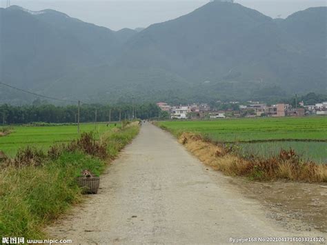 中国人到印度农村被震惊：农民地位不如狗_第一金融网