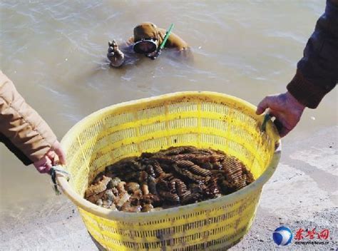 注意！东海带鱼国家级水产种质资源保护区核心区即将进入禁渔期-嵊泗新闻网