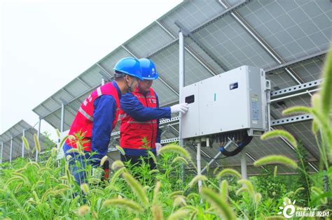 国网河北大名县供电公司 光伏照耀振兴路 农业映出新财富-国际太阳能光伏网
