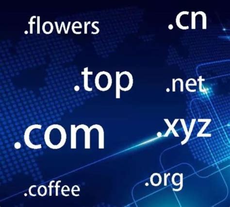 服务器和域名之间有什么联系呢 (哪里买服务器跟域名有关系)-速云博客