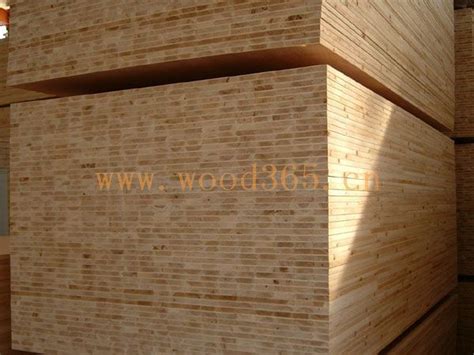 在施工中哪种尺寸的木模板为不可利用-