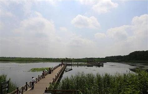 武汉东湖国家湿地公园在哪里?怎么去?_旅泊网