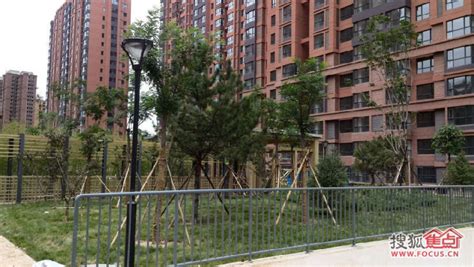 东坝自住房区域分布图 东坝自住房对比 都是图 ...看花了-北京搜狐焦点