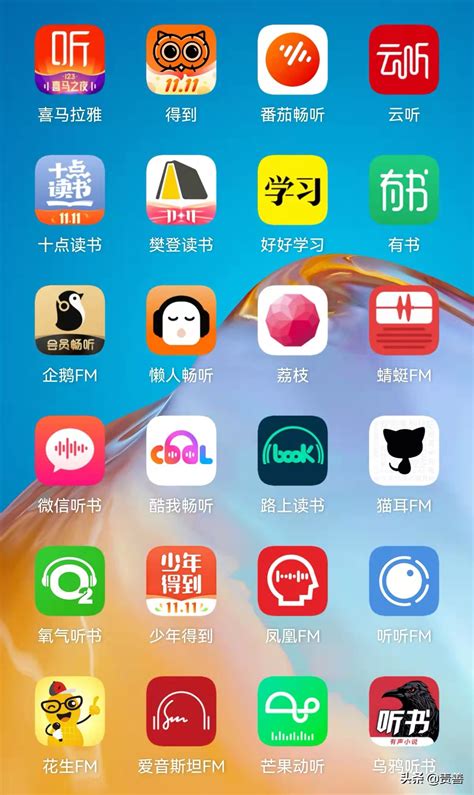 可以下载国外手游的app有哪些2022 国外手游盒子下载大全_豌豆荚