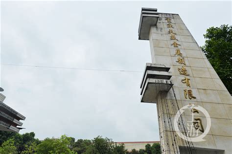 北碚：报装水电气"一窗办" 持续 优化营商环境_重庆市人民政府网