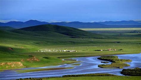 世界湿地日|带你走进青海湖湿地 - 中国自然保护区生物标本资源共享平台