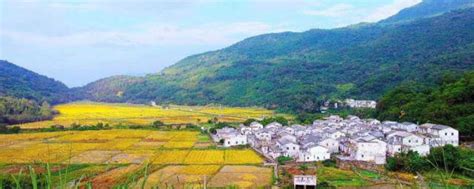 云南十大富裕村排名：班章村上榜，第四曾被评为2021年全国乡村特色产业亿元村-排行榜123网