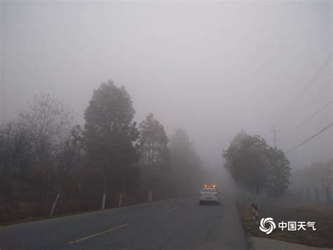 今冬首场大雾来袭 江西多地能见度不足200米-图片频道