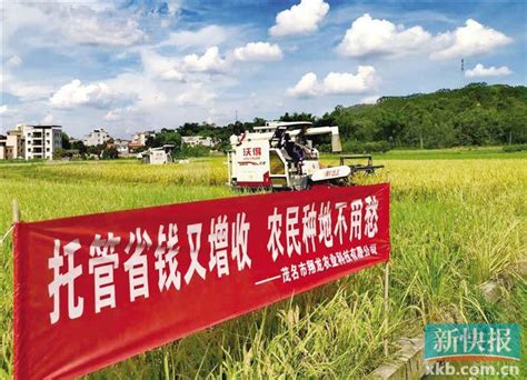 茂名化州：推出三大托管模式 破解土地细碎撂荒难题-广东省农业农村厅网站