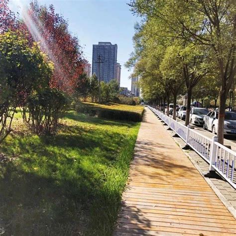 锡林公园新增木质步道 市民又添休闲好去处_风景线