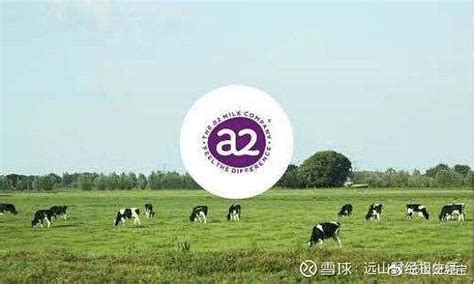 2018-2023年中国原奶市场运营态势与行业市场需求调研报告 - 观研报告网