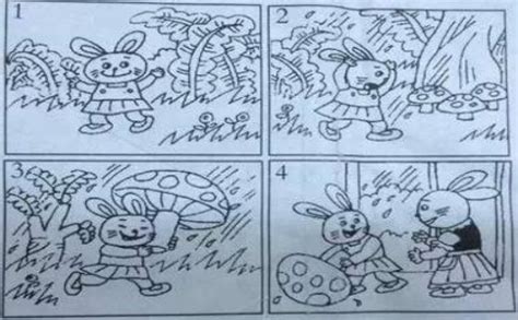 小学二年级看图写画小白兔种白菜120字-百度经验