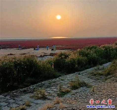 上海滩涂造地史上最大工程完成度汛节点目标任务