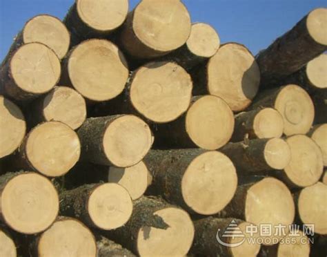 2022上半年全球木材市场回顾_行业资讯_木头云