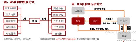 2022-2028年中国MCN机构行业全景调查与未来发展趋势报告 - 知乎