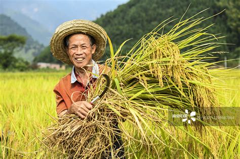 淘宝直播公布3年助农成绩单 11万农民主播带动农产品成交超50亿