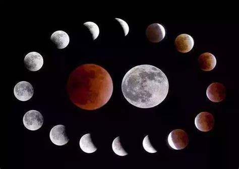 月相变化图，8种形状的变化(满月最亮) - 神奇评测