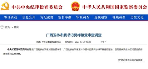 广西玉林市委书记莫桦接受审查调查_南方网