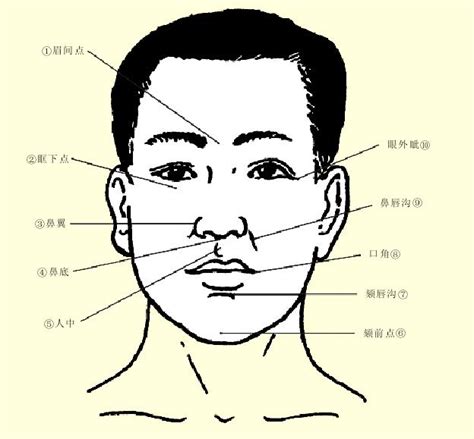 颏部具体位置图片