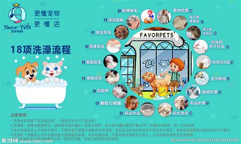 宝山区专业宠物洗护哪里有「上海恋猫宠物用品供应」 - 杂志新闻