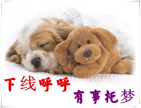 表情包有事图片