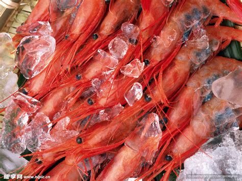 GUO LIAN国联水产 国产斑节虾(黑虎虾) 无冰净重 300g 大号 盒装 肉鲜如活虾 海鲜水产 冰冻-商品详情-菜管家