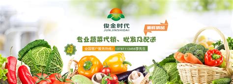 蔬菜设计图__海报设计_广告设计_设计图库_昵图网nipic.com