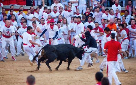 西班牙斗牛赛上演人牛大战 斗牛士被顶成“单手倒立”