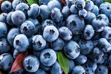蓝莓一天吃多少为宜-百度经验