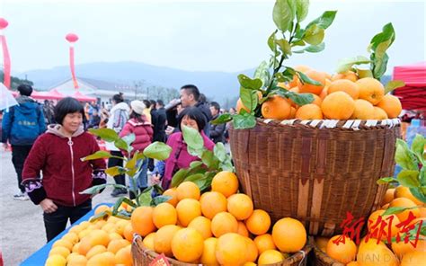 江西赣州：脐橙丰收-人民图片网