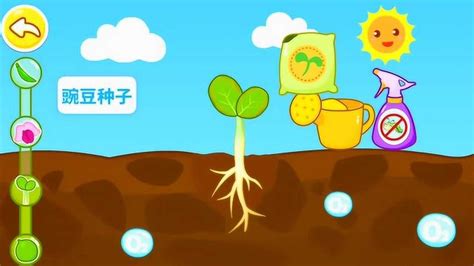 宝宝巴士第36期 奇妙的种子 种豌豆 西瓜 体验植物种子生长过程_腾讯视频