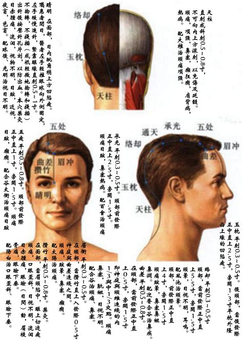 膀胱经经络图图片