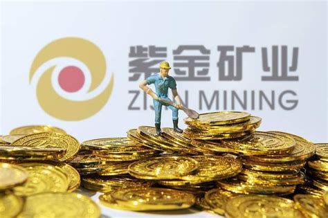 紫金矿业：紫金矿业集团股份有限公司2021年年度报告