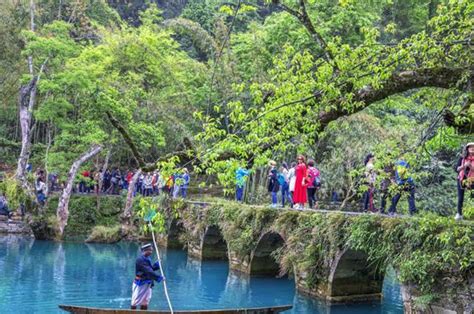 贵州荔波景点推荐：茂兰国家级自然保护区 | 游梦网