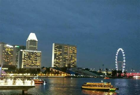 新加坡滨海湾花园|滨海湾|花园|新加坡_新浪新闻