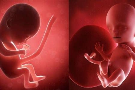 做胎心监护时，胎心率可以判断宝宝性别？ - 微医（挂号网）